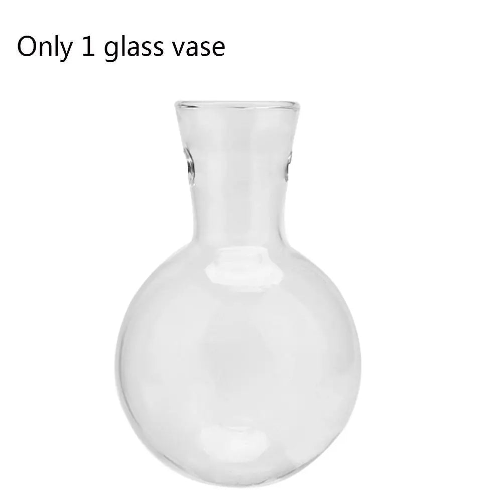 Vintage Hydroponic Plant Vases