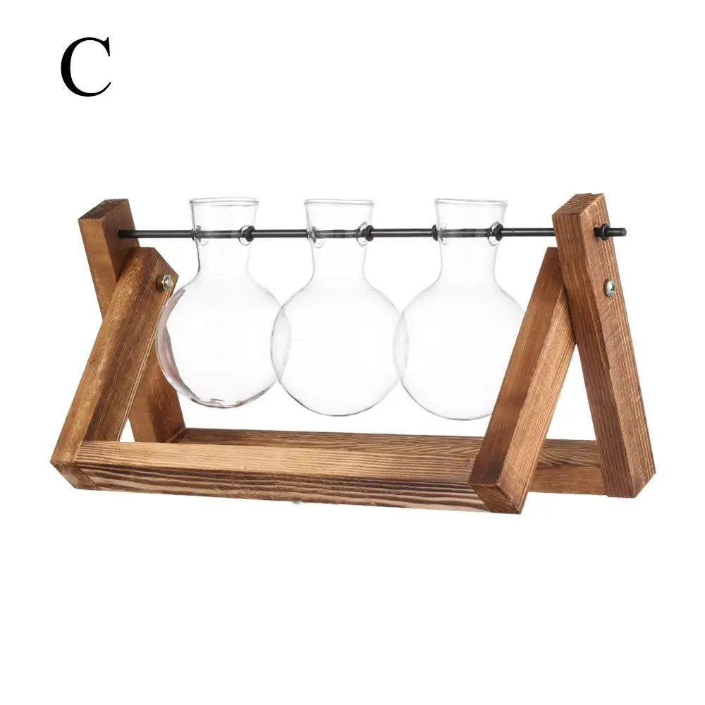 Vintage Hydroponic Plant Vases